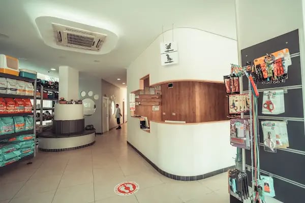 İçerenköy Veteriner Polikliniği - Resim 19