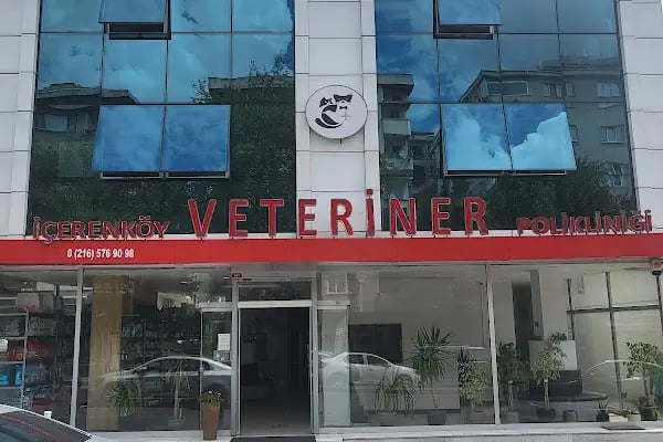 İçerenköy Veteriner Polikliniği - Resim 5