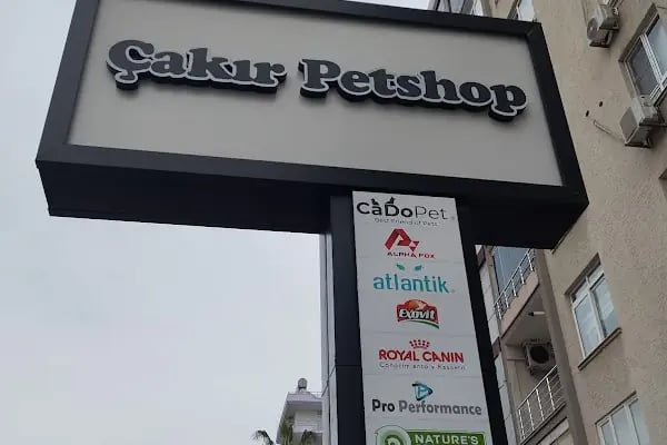 Çakır Petshop - Resim 7