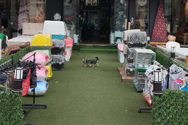 Çakır Petshop - Resim 6