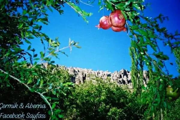 Beyhan Otel - Resim 7