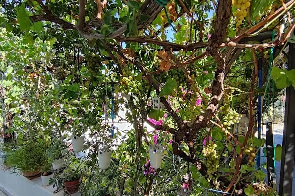 Yakamoz Sitesi - Resim 13