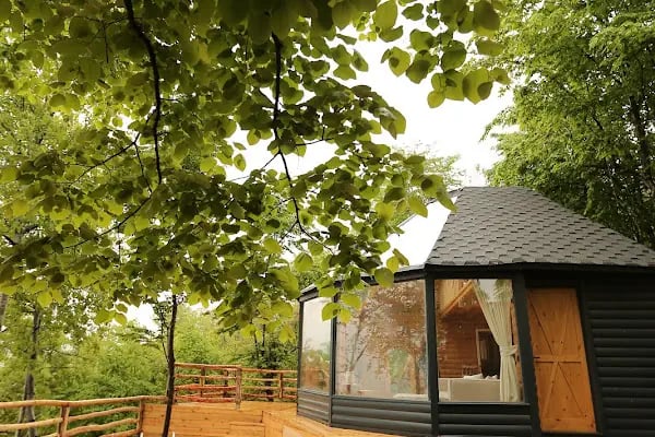 Sapanca Dağdibi Bungalov - Resim 7