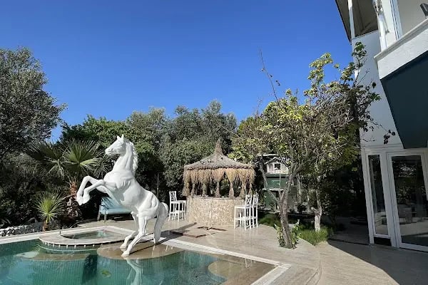 Dream Farm Pansiyon - Resim 3