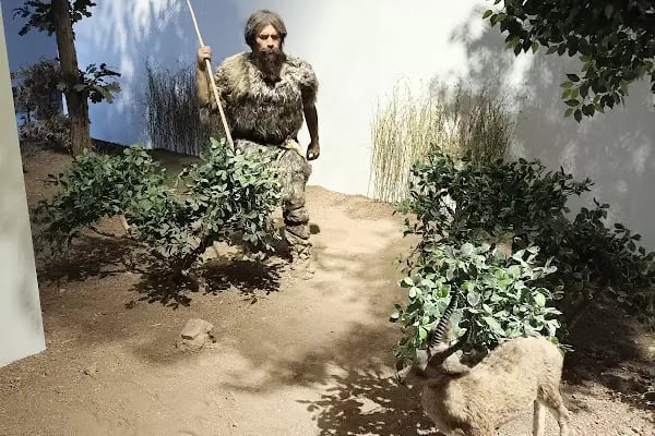 Şanlıurfa Müzesi - Resim 19