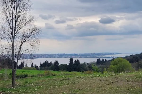 İstanbul Üniversitesi-Cerrahpaşa, Veteriner Fakültesi, Araştırma ve Uygulama Hayvan Hastanesi - Resim 17