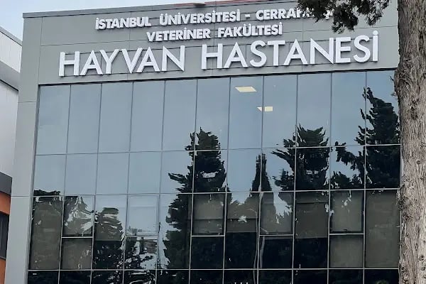 İstanbul Üniversitesi-Cerrahpaşa, Veteriner Fakültesi, Araştırma ve Uygulama Hayvan Hastanesi - Resim 12