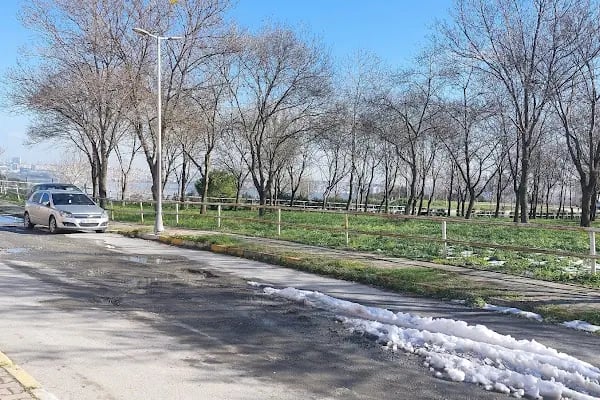 İstanbul Üniversitesi-Cerrahpaşa, Veteriner Fakültesi, Araştırma ve Uygulama Hayvan Hastanesi - Resim 16