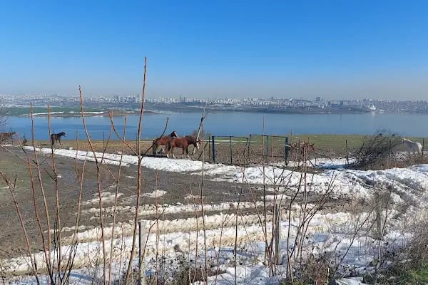 İstanbul Üniversitesi-Cerrahpaşa, Veteriner Fakültesi, Araştırma ve Uygulama Hayvan Hastanesi - Resim 5