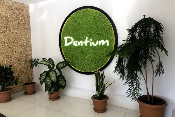 Dentium Meram - Konya, Diş Hekimi, Özel, İmplant, Zirkonyum, Gülüş Tasarımı - Resim 2