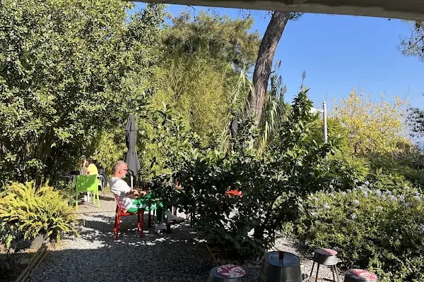Bahçede Sinek Kafe - Resim 7