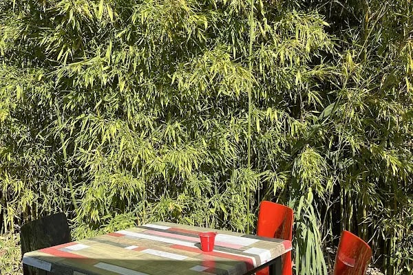 Bahçede Sinek Kafe - Resim 5