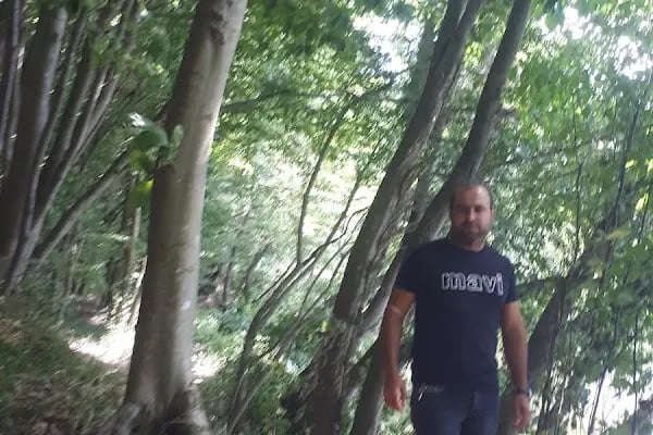 Hanımeli Şelale - Resim 10