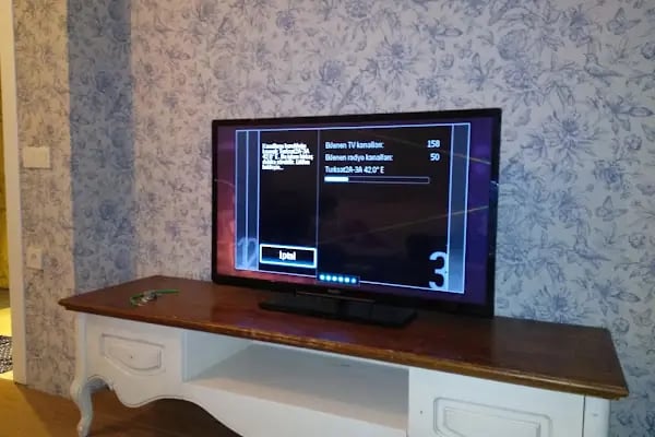 Alanya tv servisi - Resim 2