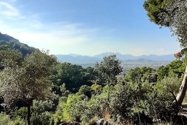 Dalaman Belediyesi Kültür Merkez - Resim 15