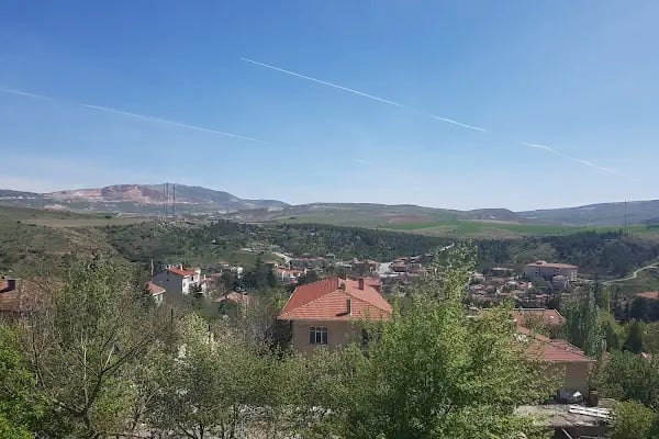 Tekem Restaurant-AYAŞ - Resim 8
