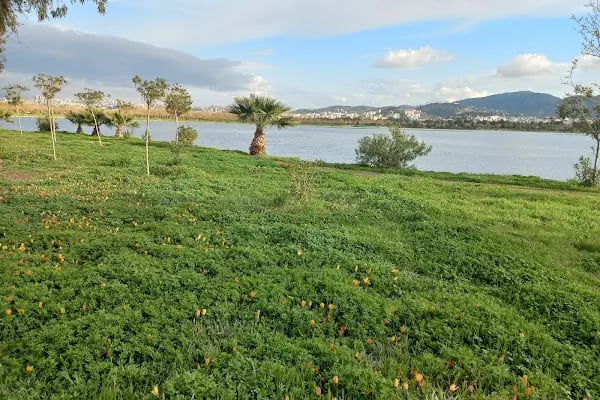 İzmir Büyükşehir Belediyesi İnciraltı Kent Ormanı - Resim 3