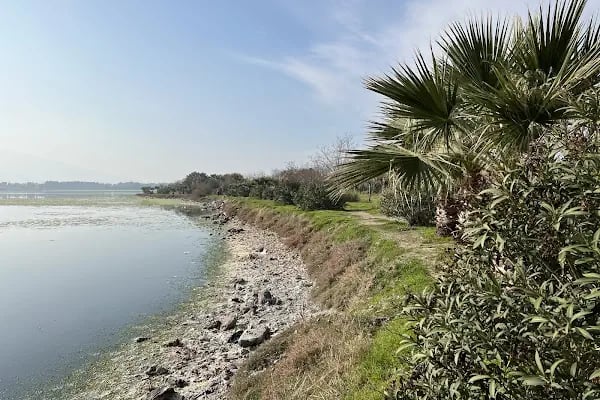İzmir Büyükşehir Belediyesi İnciraltı Kent Ormanı - Resim 12
