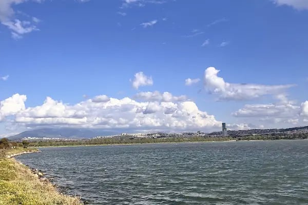 İzmir Büyükşehir Belediyesi İnciraltı Kent Ormanı - Resim 18