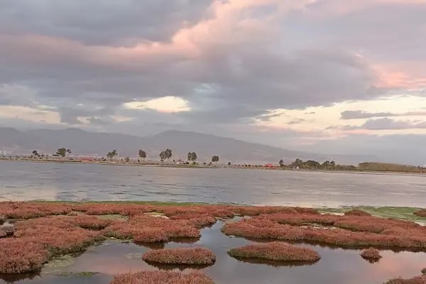 İzmir Büyükşehir Belediyesi İnciraltı Kent Ormanı - Resim 13