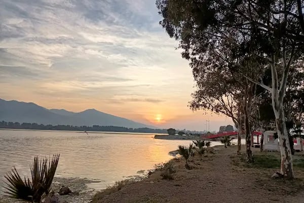 İzmir Büyükşehir Belediyesi İnciraltı Kent Ormanı - Resim 5