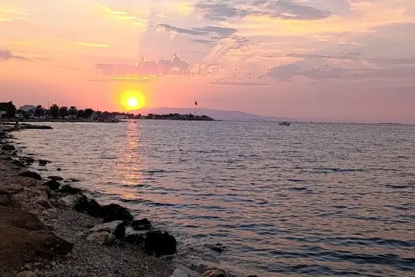 İzmir Büyükşehir Belediyesi İnciraltı Kent Ormanı - Resim 15