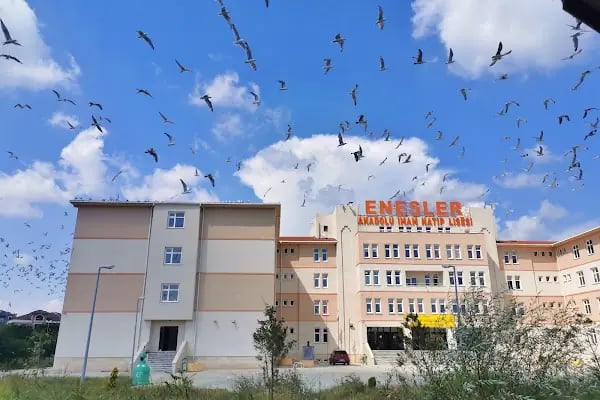 Çerkezköy Enesler Anadolu İmam Hatip Lisesi - Resim 2