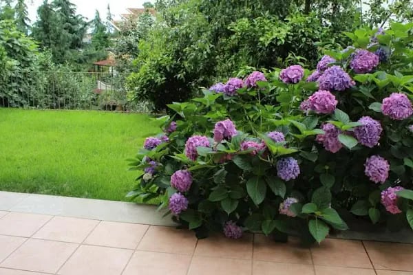 Gurgen Villa 2 - Resim 3