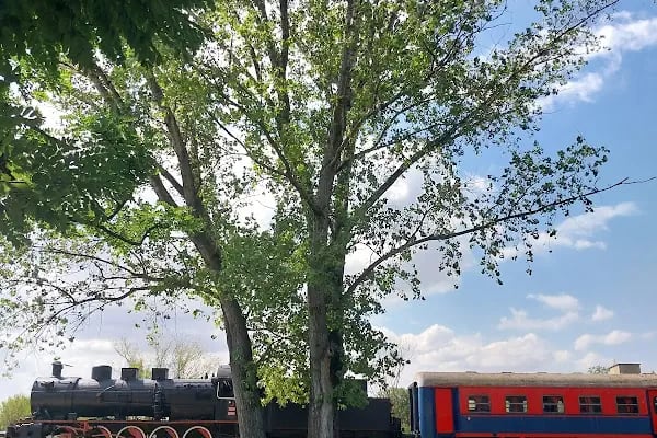 Edirne Karaağaç Tarihi Tren - Resim 20