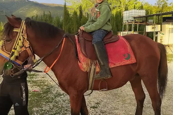 Tabiat Binicilik Merkezi - Resim 20