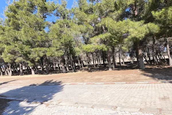 Hacım Sultan Türbesi - Resim 9