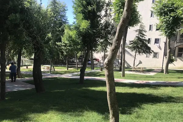 Gençlik Ve Aile Parkı - Resim 7