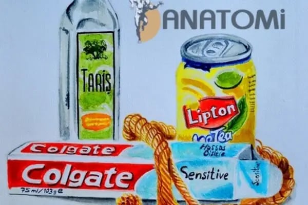 M.E.B ANATOMİ SANAT GÜZEL SANATLARA HAZIRLIK RESİM KURSU - Resim 14