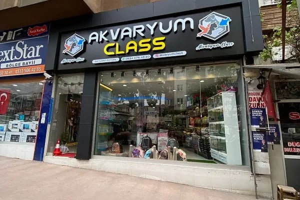 Akvaryum Class - Resim 5