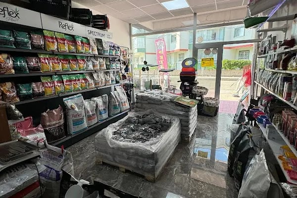 Kent Petshop - Resim 6