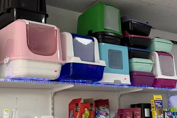 Kent Petshop - Resim 20