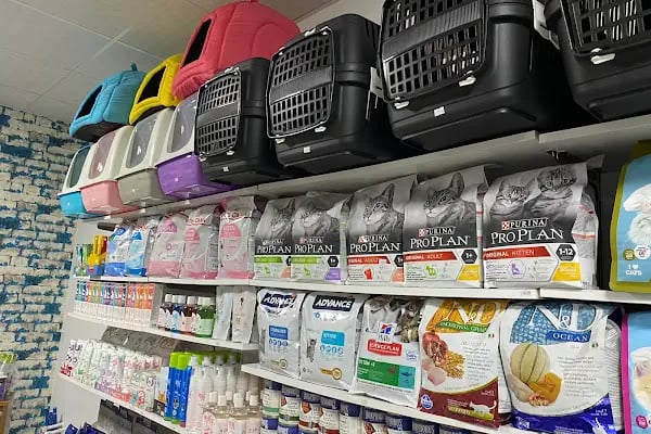 Kent Petshop - Resim 16