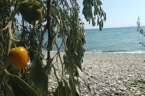 Çağrıkent Plaj - Resim 8