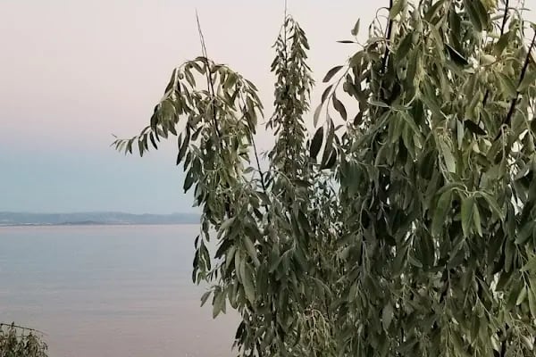 Çağrıkent Plaj - Resim 15