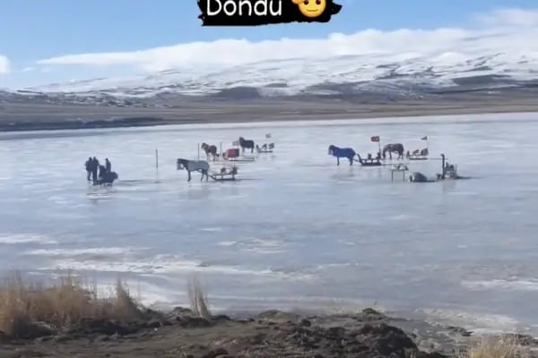Kars Taksi - Hukukçular Taksi - Resim 12