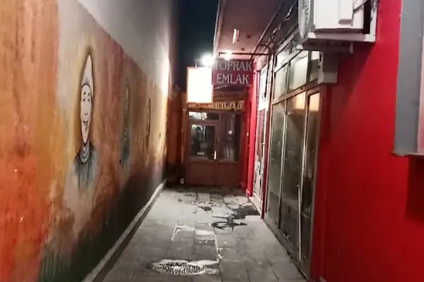 Kars Şehir Sineması - Resim 2