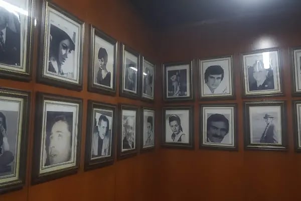 Kars Şehir Sineması - Resim 6