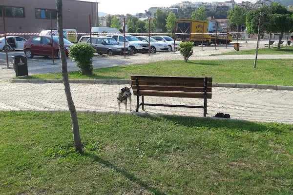 Kızılkanat Parkı - Resim 20
