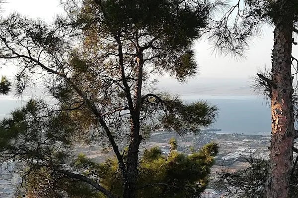 Kızılkanat Parkı - Resim 7