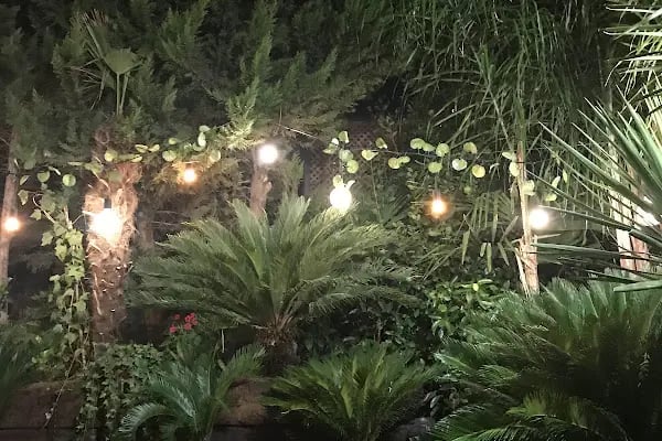 Patlıcan Cafe & Restaurant - Resim 10
