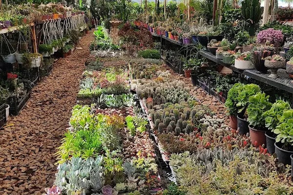 Premium life garden peyzaj ve çiçekçilik - Resim 20