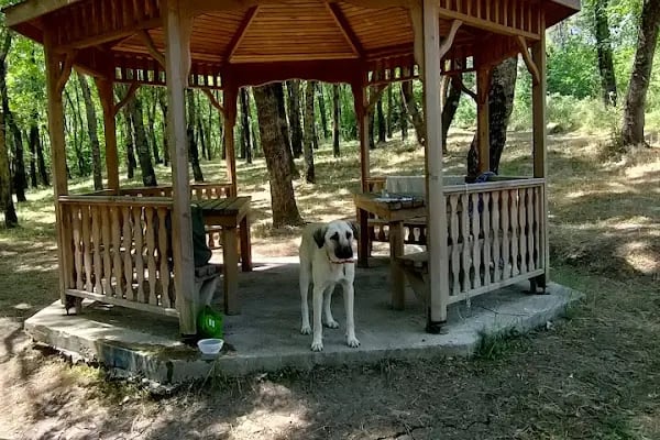 Sarıgazel Tabiat Parkı - Resim 16