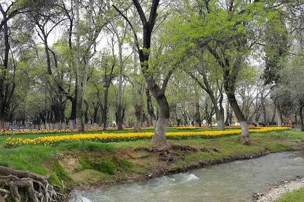 Büyükşehir Gaziantep Uzay Parkı - Resim 16