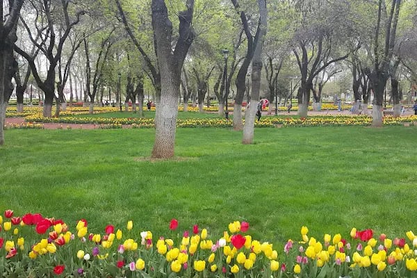 Büyükşehir Gaziantep Uzay Parkı - Resim 14