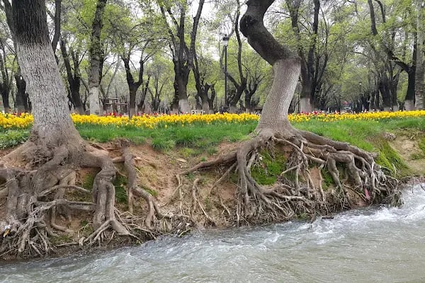 Büyükşehir Gaziantep Uzay Parkı - Resim 7
